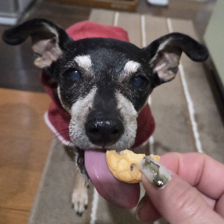 C7205a67 7f23 4880 b085 5012ded5d498 1769543358540