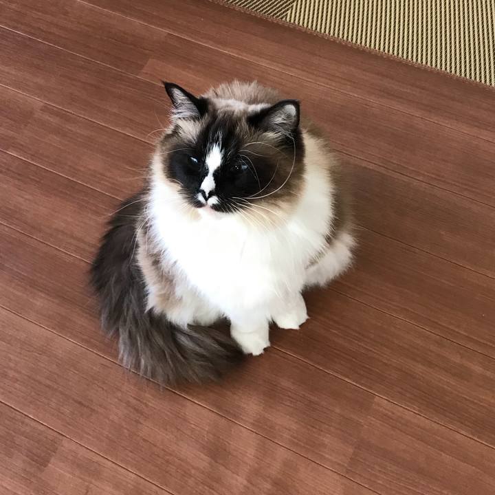 C7208ac9 3739 4a83 a632 220112043823 1519136021183