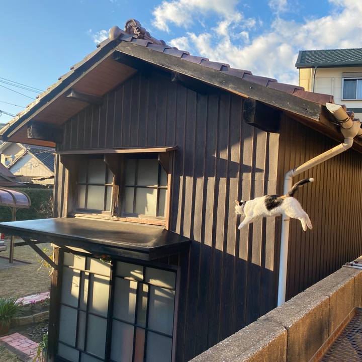 C720908c e4e6 4ada b268 3fe6886047fe 1641079774522