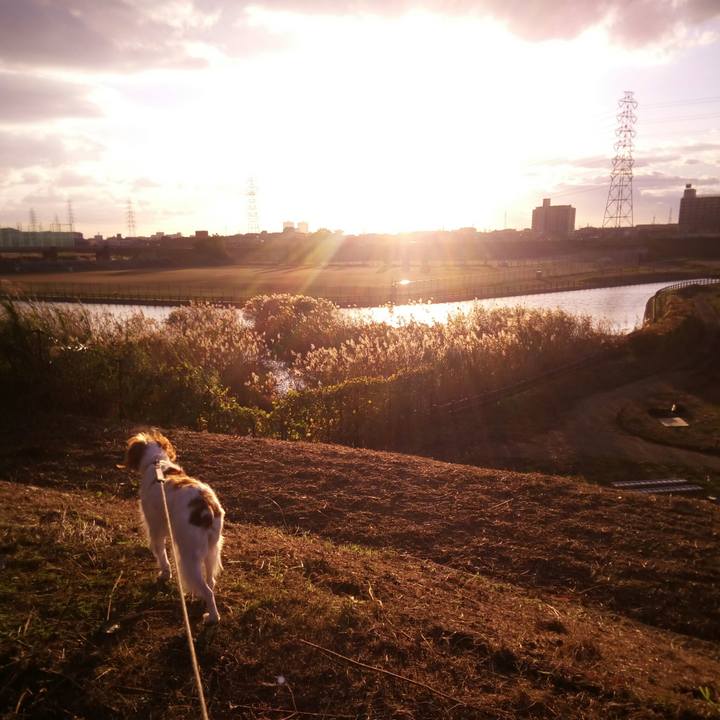 C720aa1c 8d26 4518 98d0 321be5c7d8e2 1512127832396