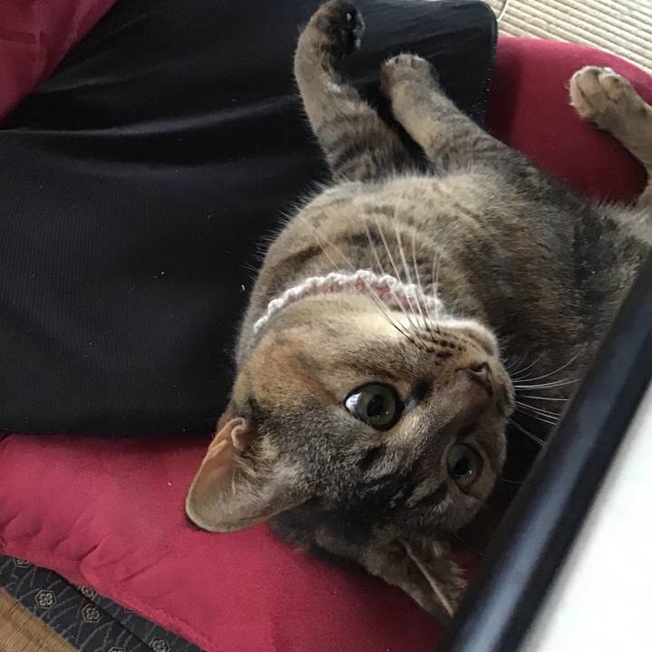 C720f2ba dbe9 4935 a1c0 d211cddfbfb9 1660708987444