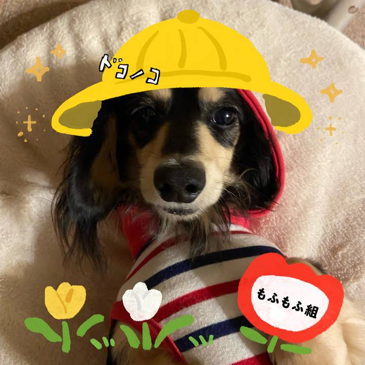 C72152d2 73ba 40f9 a66f 866ce912627b 1712666783352