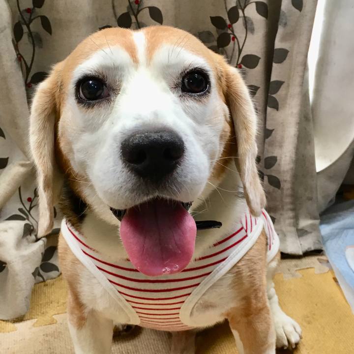 C72162d5 7315 4753 aa9a 2b2279f2c721 1535426716414