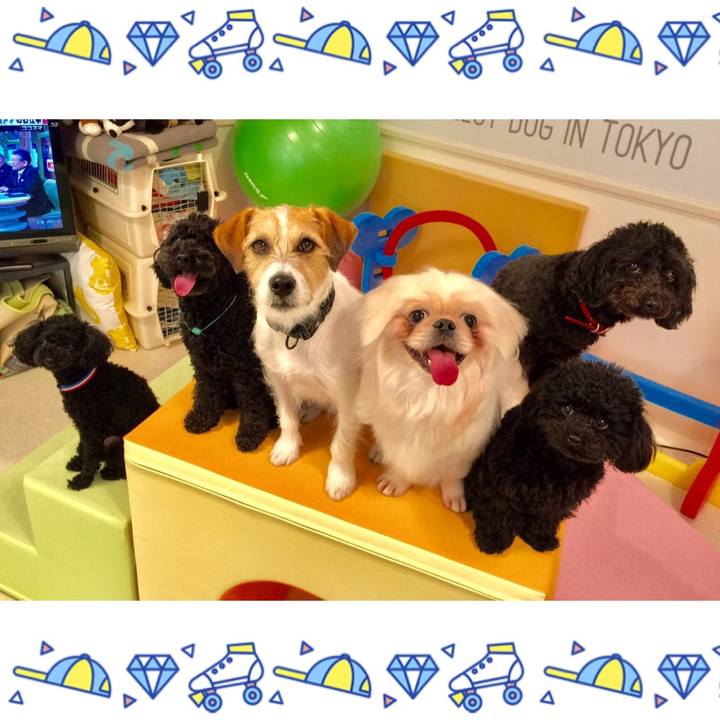 C7217e72 1869 4930 b369 c4841af8ae27 1553084316078