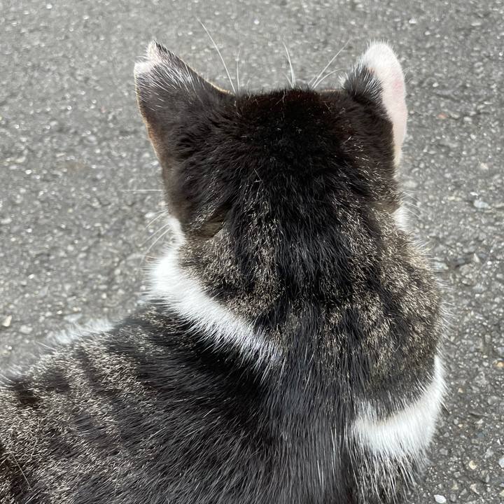 C7219156 135d 41da 8afe 82c828974e14 1628491471110