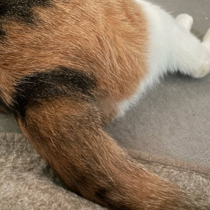 C721ce0a d7a9 4095 9f60 7cba764d6859 1687037249088