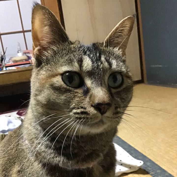 C721fc74 2346 45ba 9426 182e7a63302b 1616324478109