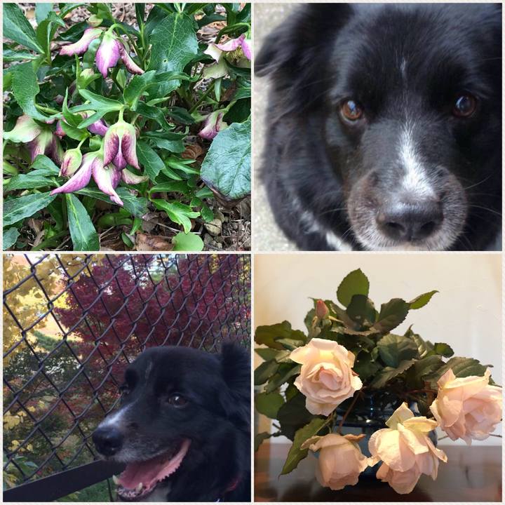 C7220fc4 d3ad 445e 89f8 a5e6ff7fb9c9 1517557153056