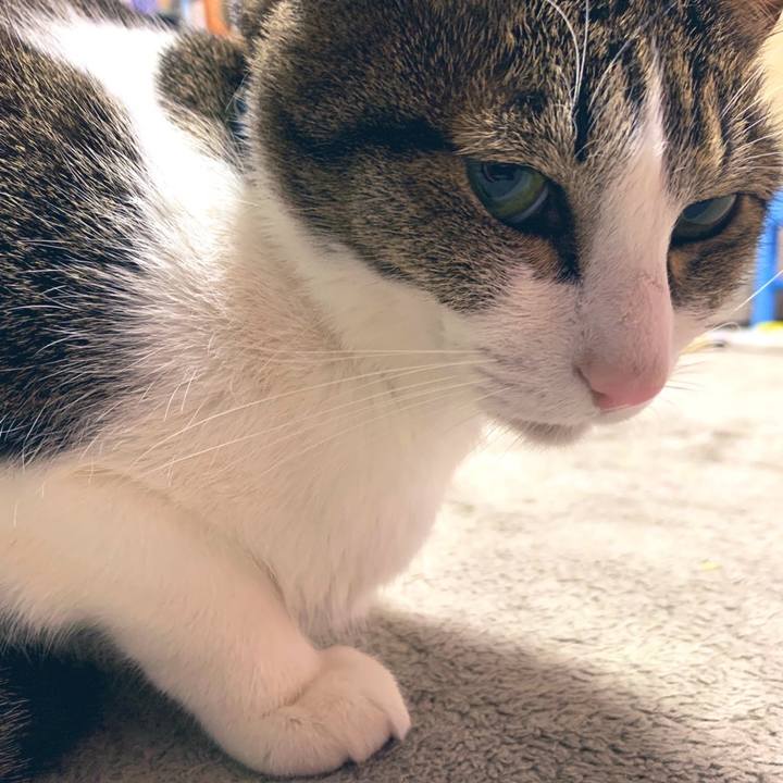 C72214e1 26b4 4417 8f38 212480658cbf 1579089623620