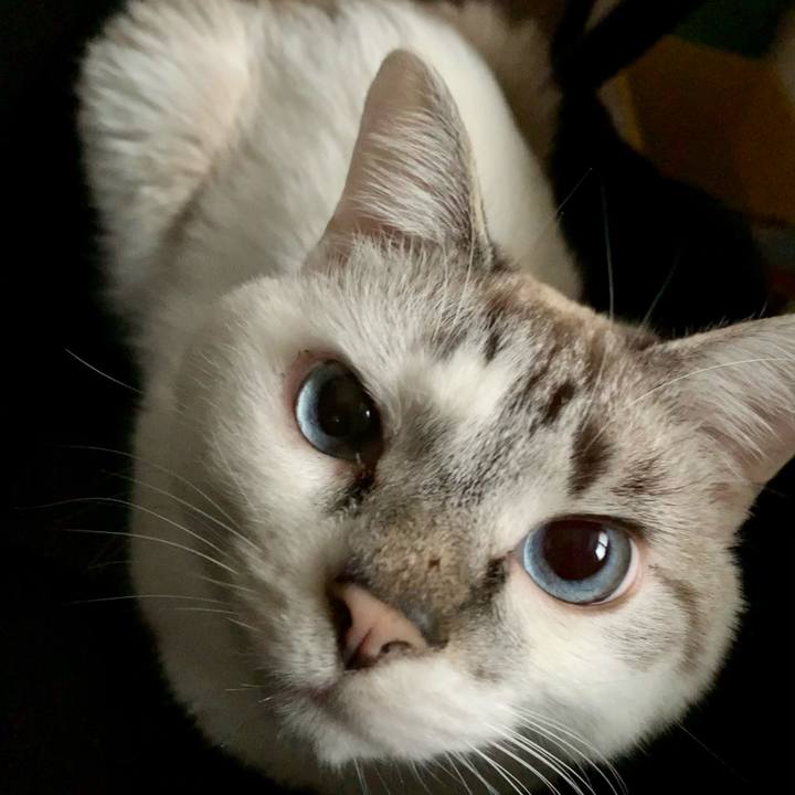 C722899d e684 41bd 9b0a 07b328095626 1608075275394