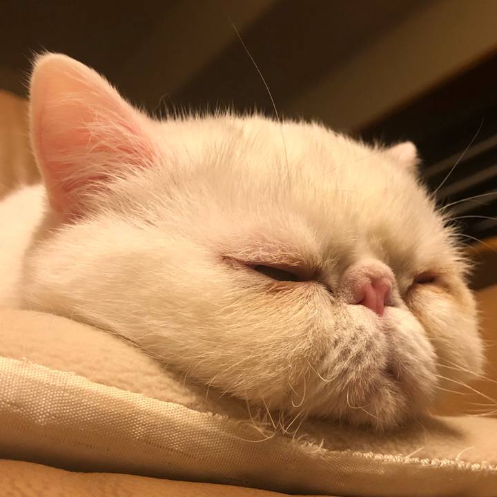 C722bc96 7678 4f6e 9e14 d947abec2421 1578750385894