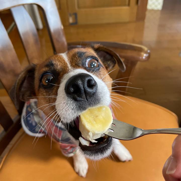 C722d887 8c2d 4f1d 9e0c 547fd7c4c8f2 1626823840059