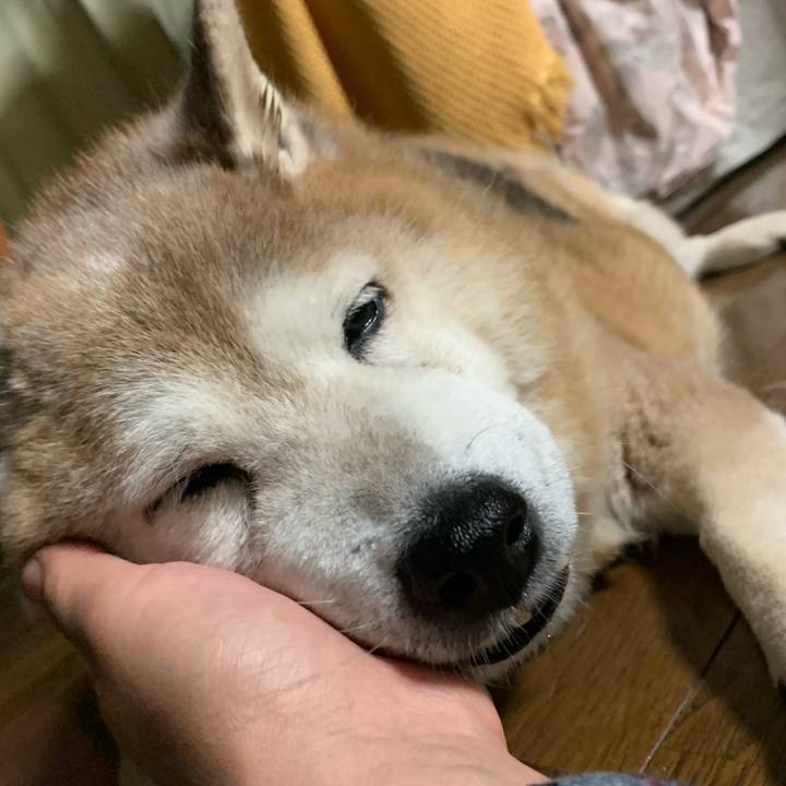 C722fc60 d552 4955 ba04 7974476e2860 1634125642115