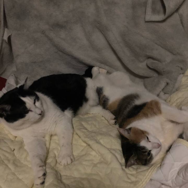 C722ff86 1c8a 4823 b8f1 7a28138ba37d 1611072360004