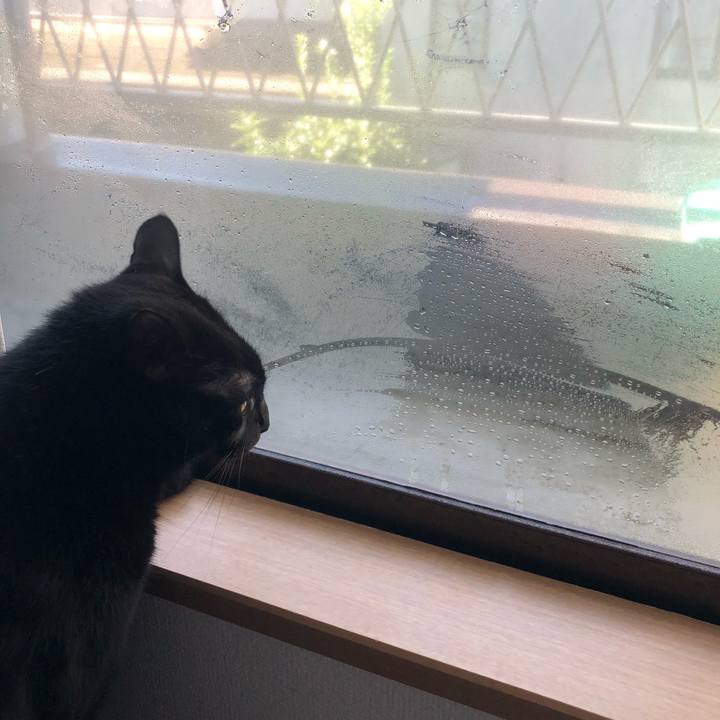 C72300c9 217c 479d 81ce 56594b32e26a 1538093792978