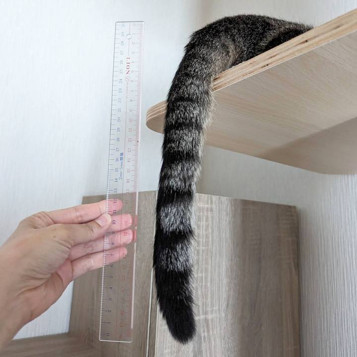 C72358e4 6003 46a5 b972 58bb20315452 1718171601950