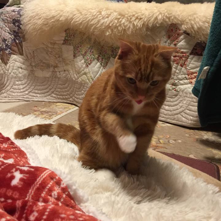 C72379fe 33a1 462c b864 1ab99c4f4834 1521418762119