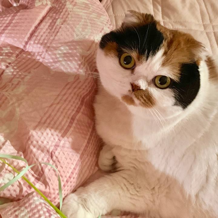 C723a1e9 adac 4a8f 900b 2c1ee826df5e 1562672945272