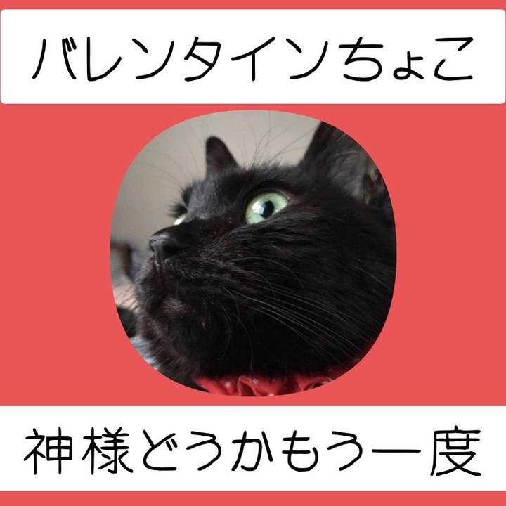 C723c096 b27b 4840 98ee 4a29384e0039 1676386571996