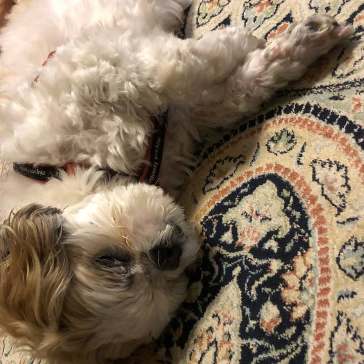 C723c5fe 5deb 4975 8644 47ea78e5724f 1589320483480