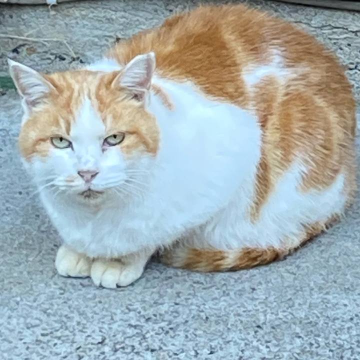 C723cd77 7ed7 4c0b 8c0d 353a57050fbb 1687057199670