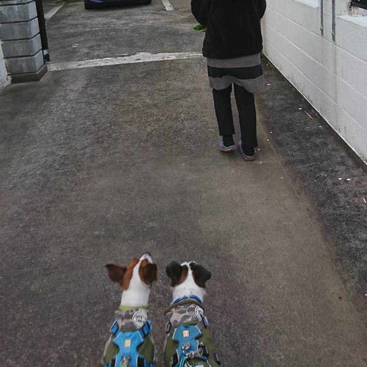 C7240938 bc70 494f a9ee bedd05f8cd40 1606206701679