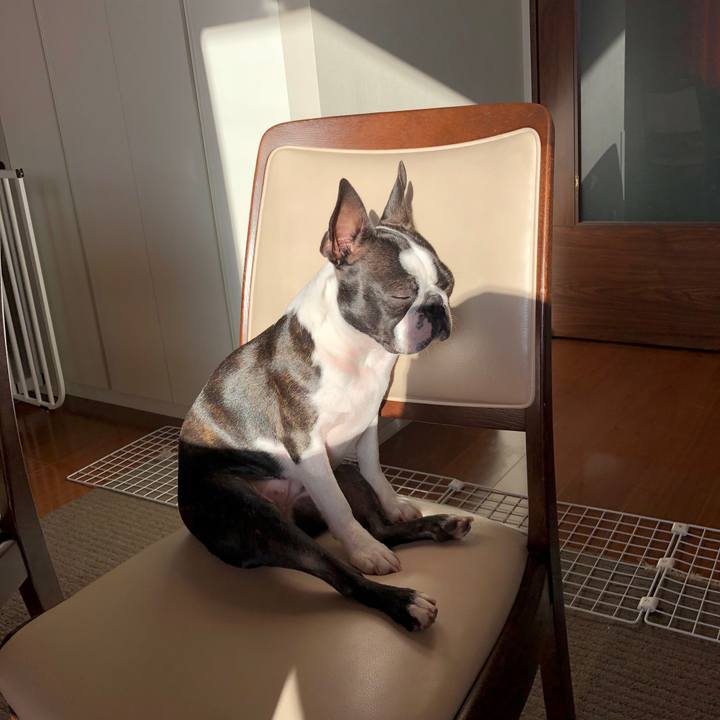 C7240981 f893 4c6f ae03 d56496aeb0af 1514936497002