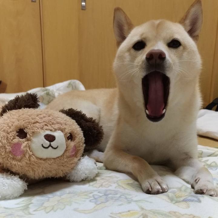 C724467f 4d59 4fe0 8a52 44f89a2641ce 1537272190101