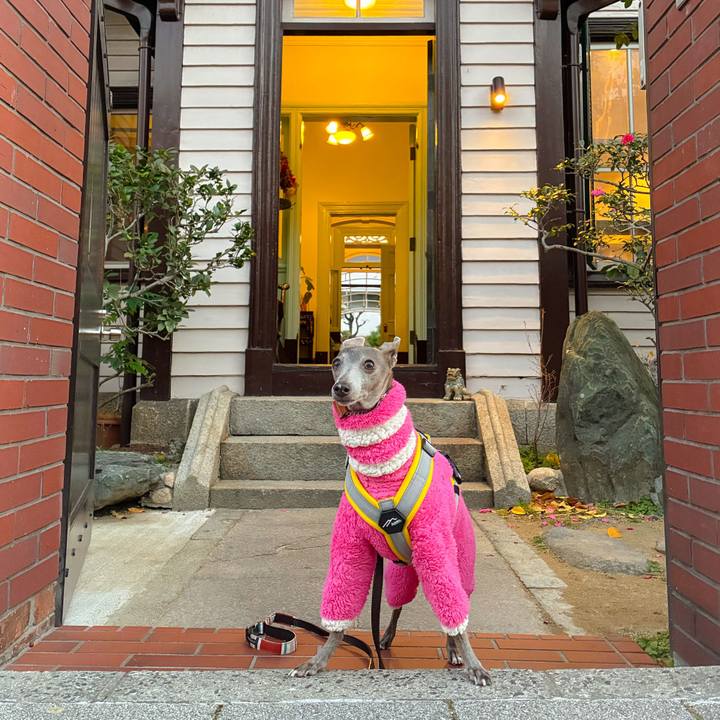 C72449b4 738d 4224 9a6a 0502a7fc9ff7 1767951246188