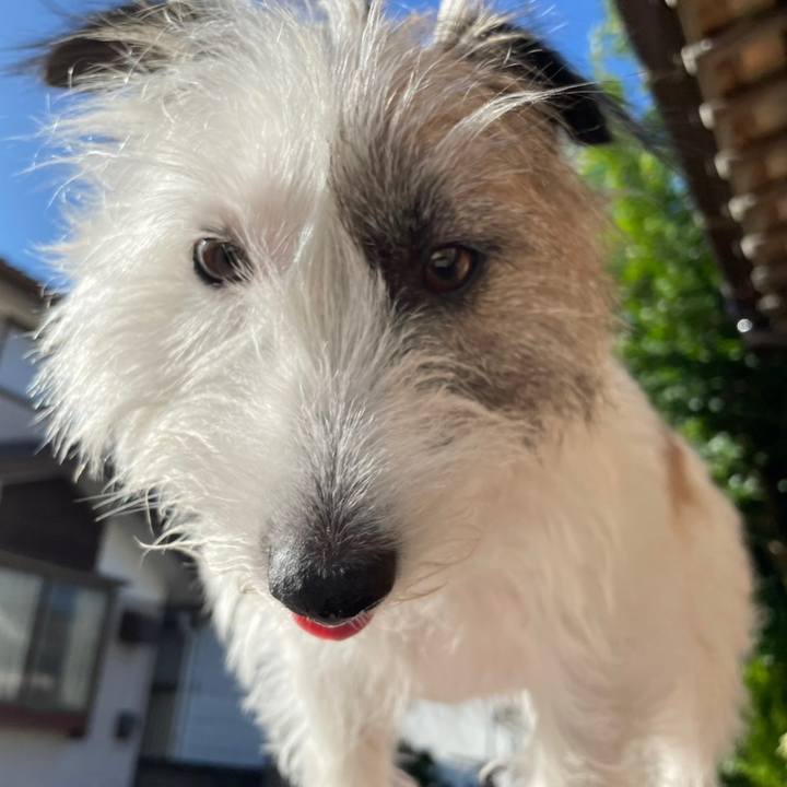 C7245f00 7be5 4818 b1e2 27c451c1b334 1663113397043