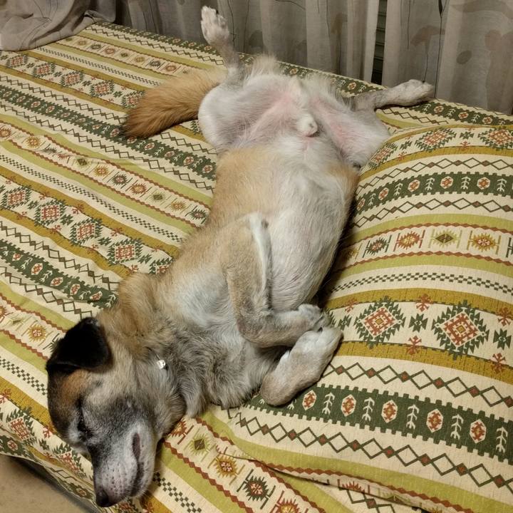 C72476f2 6be4 4e96 9554 3a8b447ef3bb 1536842795652