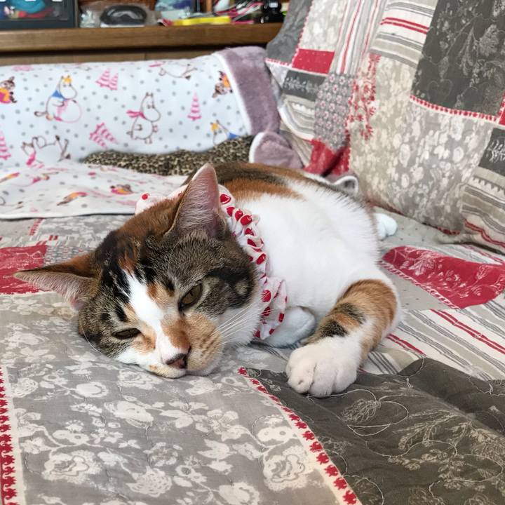 C724b58d aafe 40cf beeb c02f0fb85a91 1618875662454