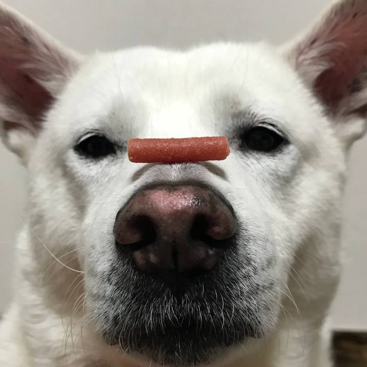 C72502f7 6d7d 4bf9 88c5 60433e071601 1524406651822