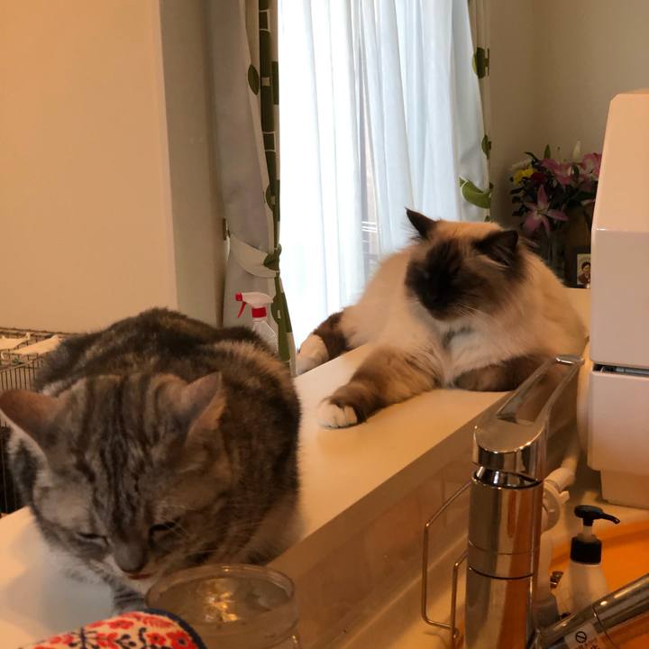 C7252d51 1b57 420b 8aa9 16fe51e78584 1586574835601