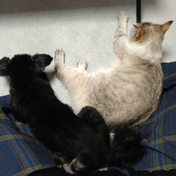 C72533ee a05e 493c b5e1 b2539c085d7c 1653909836784