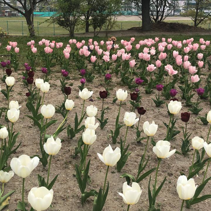 C7254527 9630 4fc8 b41c 1bd13c2dc4f8 1588301946900