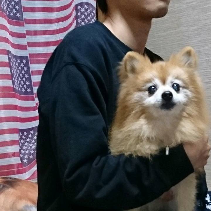 C725b1ff 054b 4a90 bc32 cd7b3cf0e5d5 1573905546707