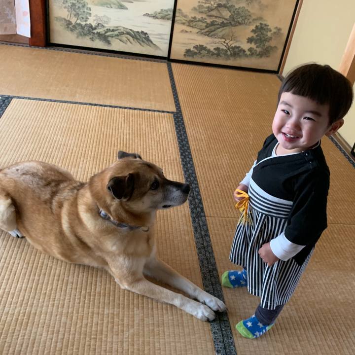 C725be63 178d 4900 812e d123b151fbc8 1577866062016