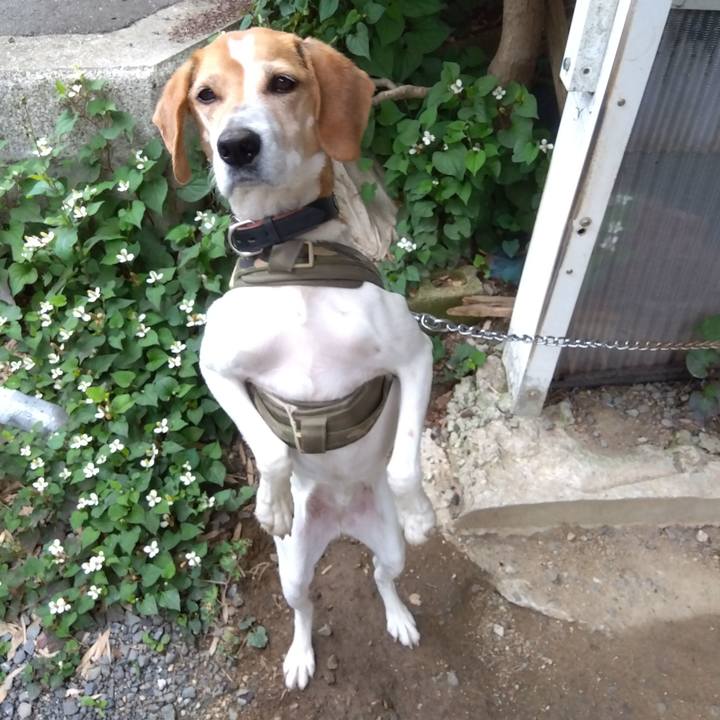 C725e538 8152 4466 8a13 1c1db4f84dd2 1686225310055