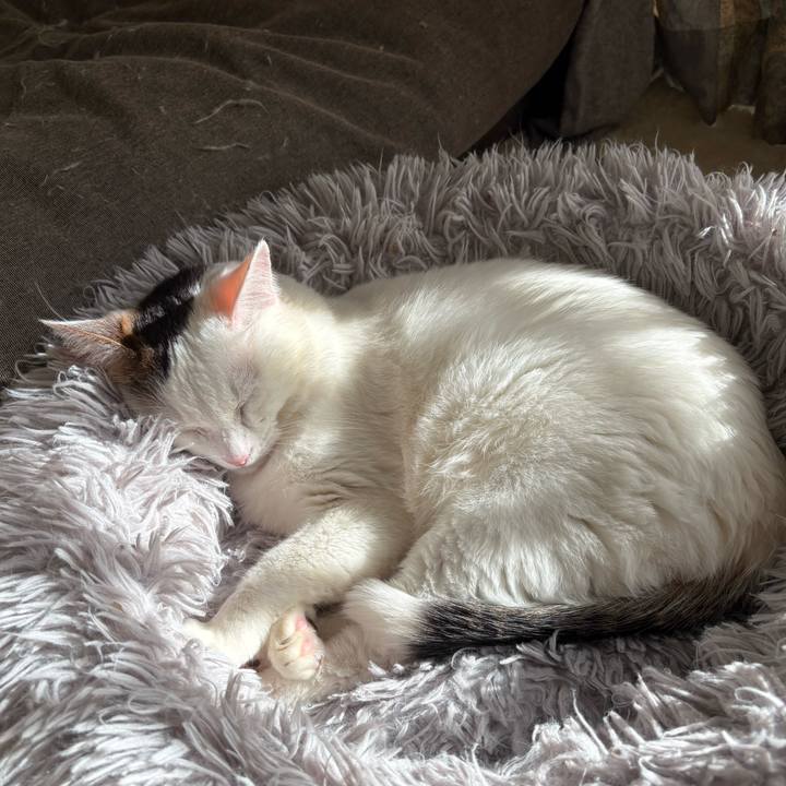 C725eb91 1bee 4917 8e30 99467e842059 1769562786980