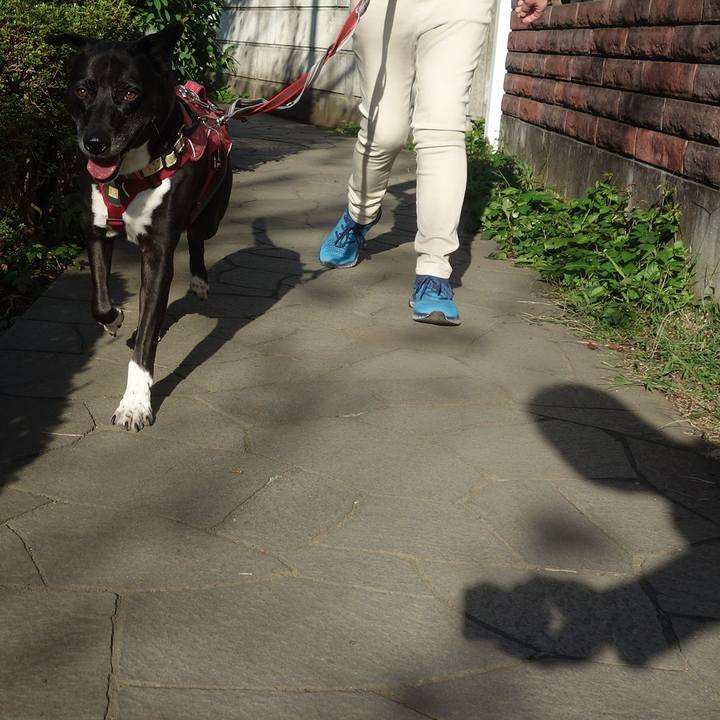 C725f5d2 b63a 45a3 842b 05d2623dc78c 1697085242152