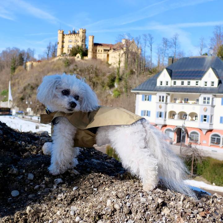 C725ff8d 7fbd 4cb0 9aeb b9c63c9a6f97 1772113588783