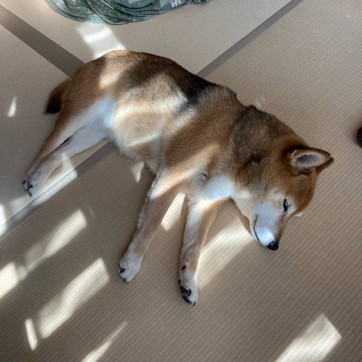 C7260dee 28bf 4f43 9772 2eb40c8bebd6 1647072818553