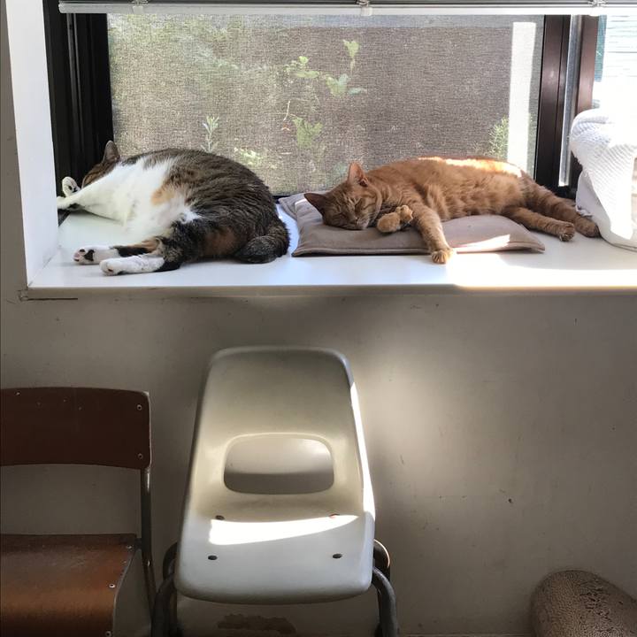 C72622c3 a06f 4740 9922 1b6cce5f2e5b 1631253361343