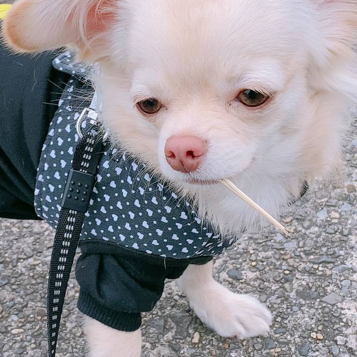 C7262c83 be18 4e4f aebd c14408c49069 1609922876948