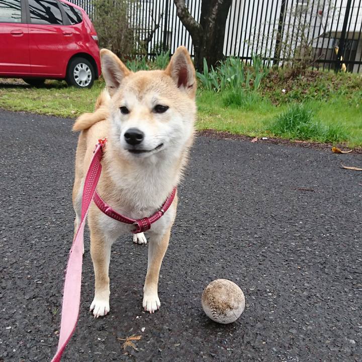 C7263920 e0d8 4cc5 9e8e 94e0e3c42ca7 1521852289830