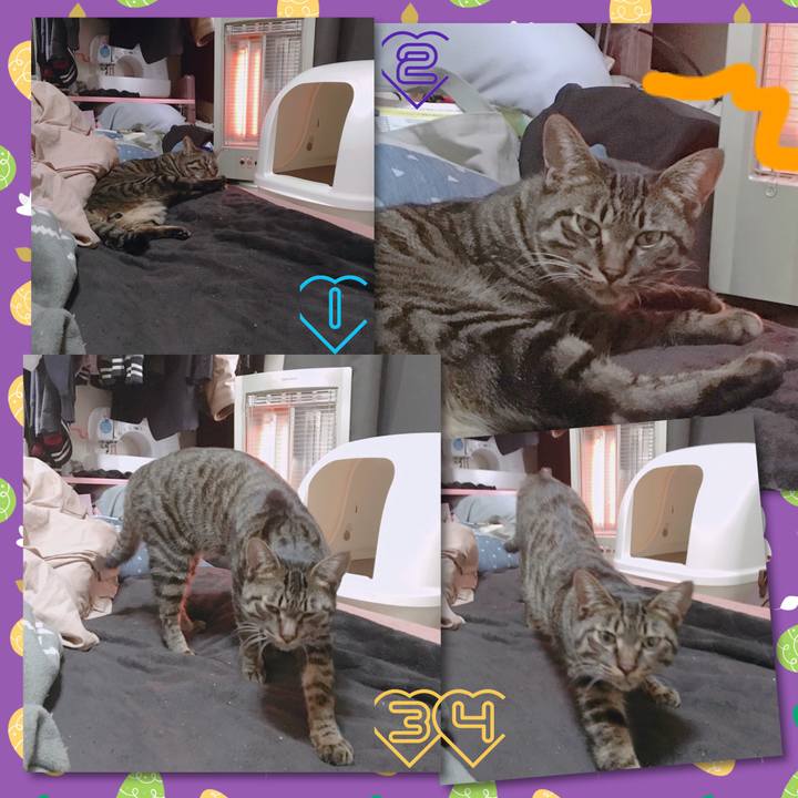 C7267712 57be 4088 a15a bdc26be066d8 1554859610085