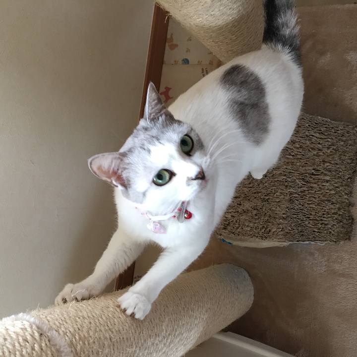 C7268d7f 38eb 4313 8801 e15377843499 1515421547750