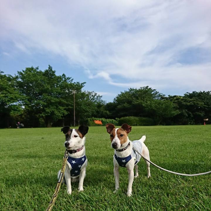 C726aa04 7432 445b 81eb c14291f090cd 1529825021348