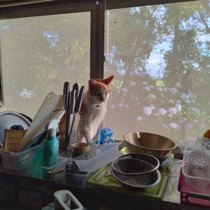 C7273c03 33f2 47f3 9a01 358a17a11d1a 1752442639795